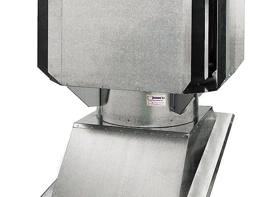 grupo_estatico-530×400